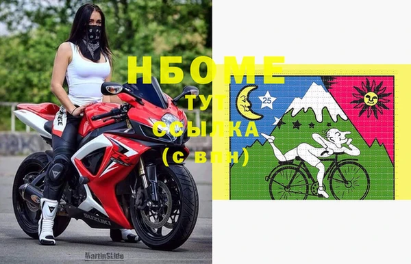 гашик Кулебаки