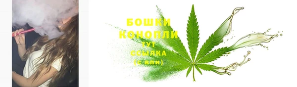 гашик Кулебаки