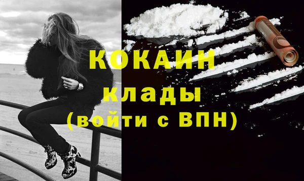 гашик Кулебаки